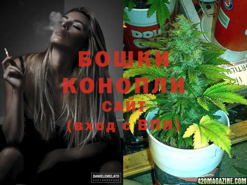 Конопля White Widow  Камышлов 